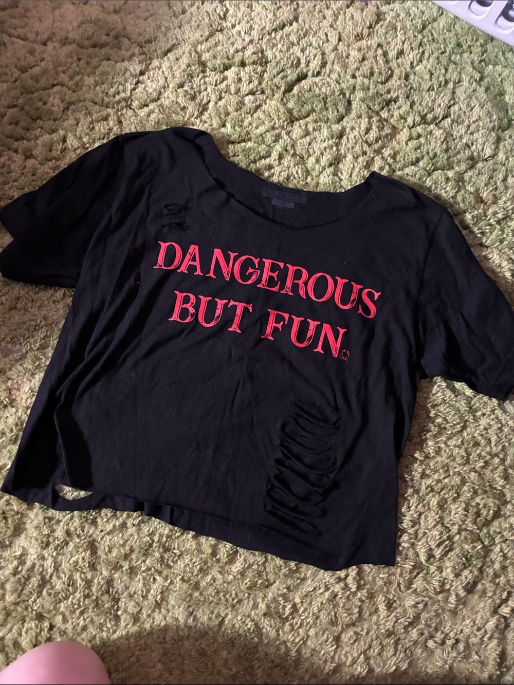 Ripped up Dangerous But Fun cropped tee